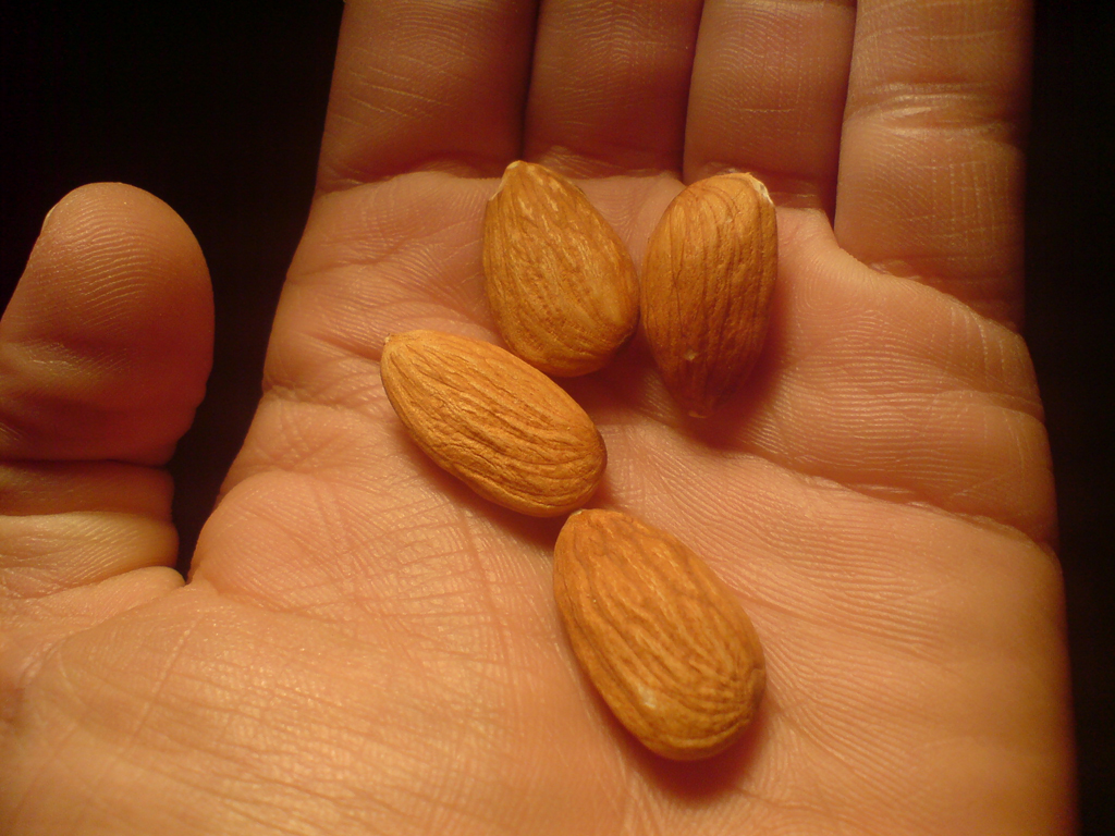 אידיוסינקטיות