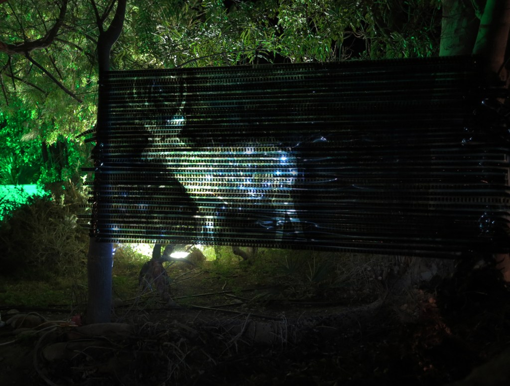 DEER – EIN&nbsp;GEDI