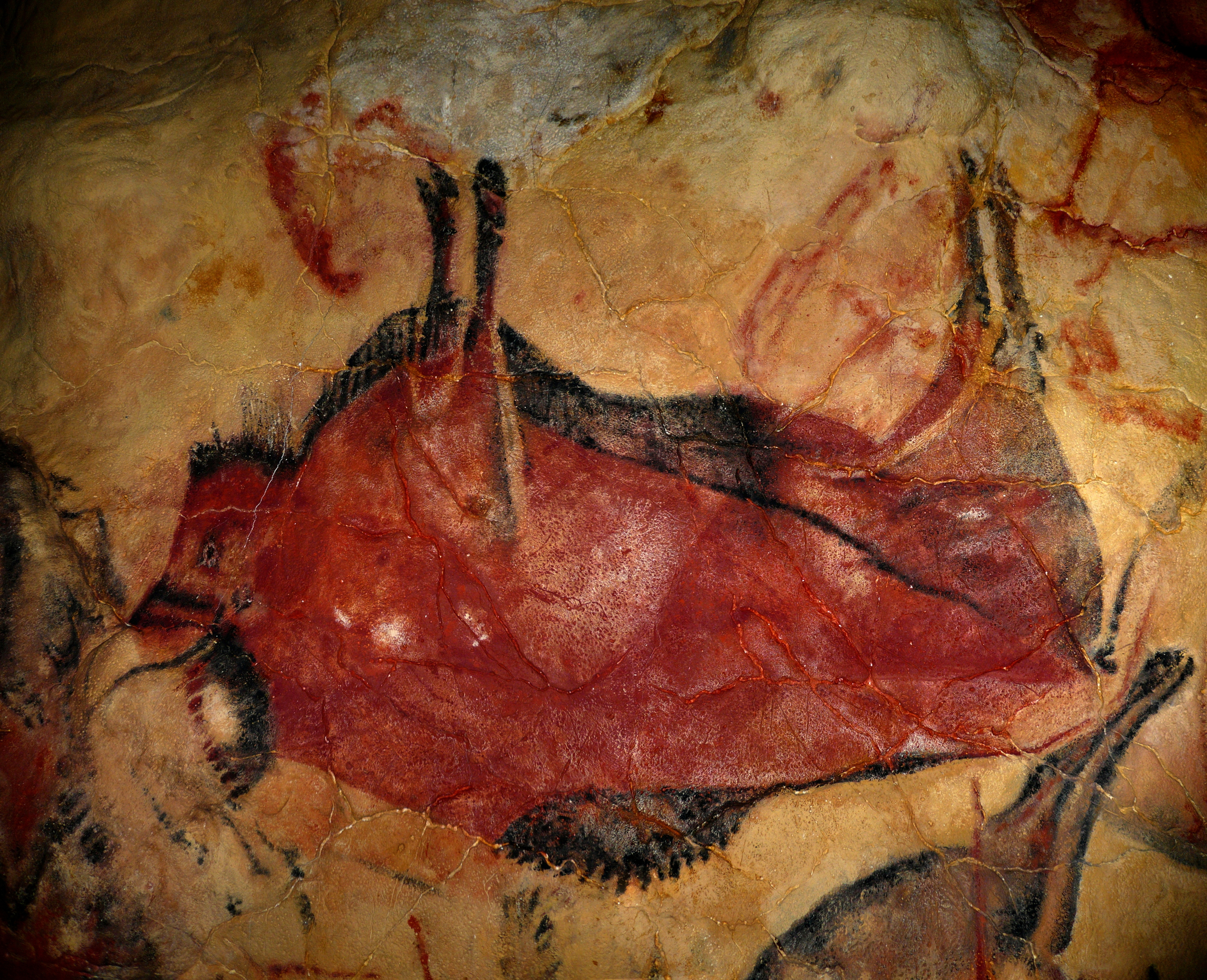 לבחור לב חור תאו תאום - שחוותה השתחווה