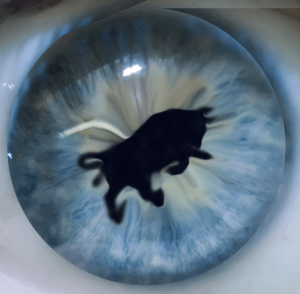 eye___no_makeup__by2